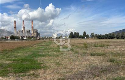Muğla Yatağan Yeniköy Mahallesinde Zeytin Ağaçlarıyla Çevrili, 2+1 Evi Bulunan 11.496 M² Tarla