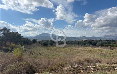 Muğla Yatağan Akgedik Mahallesinde 7.265 M² Doğayla İç İçe, Ana Yola Yakın Tarla