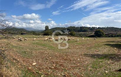 Muğla Yatağan Akgedik Mahallesinde 7.265 M² Doğayla İç İçe, Ana Yola Yakın Tarla