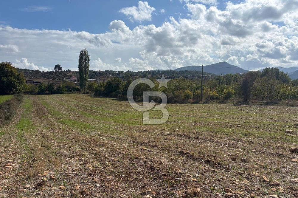 Muğla Yatağan Akgedik Mahallesinde 7.265 M² Doğayla İç İçe, Ana Yola Yakın Tarla