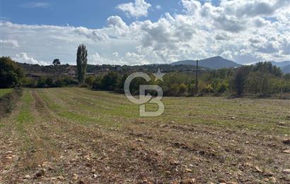 Muğla Yatağan Akgedik Mahallesinde 7.265 M² Doğayla İç İçe, Ana Yola Yakın Tarla