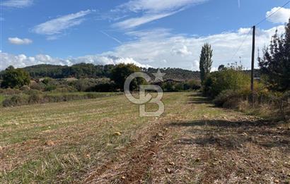 Muğla Yatağan Akgedik Mahallesinde 7.265 M² Doğayla İç İçe, Ana Yola Yakın Tarla