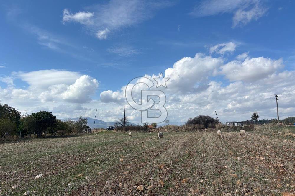 Muğla Yatağan Akgedik Mahallesinde 7.265 M² Doğayla İç İçe, Ana Yola Yakın Tarla