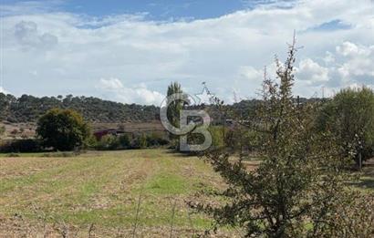 Muğla Yatağan Akgedik Mahallesinde 7.265 M² Doğayla İç İçe, Ana Yola Yakın Tarla