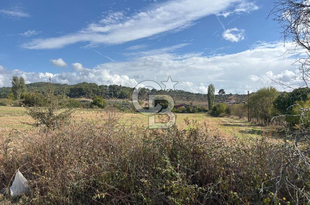 Muğla Yatağan Akgedik Mahallesinde 7.265 M² Doğayla İç İçe, Ana Yola Yakın Tarla