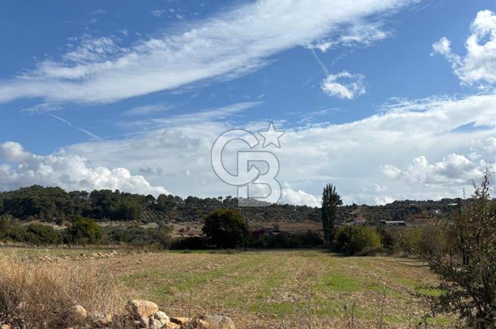 Muğla Yatağan Akgedik Mahallesinde 7.265 M² Doğayla İç İçe, Ana Yola Yakın Tarla