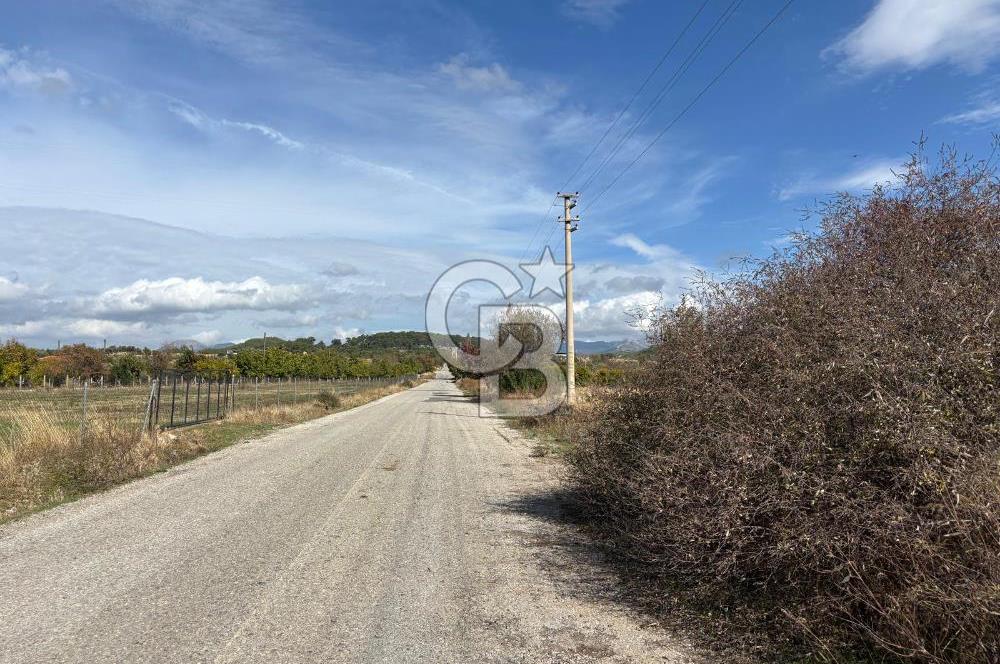Muğla Yatağan Akgedik Mahallesinde 7.265 M² Doğayla İç İçe, Ana Yola Yakın Tarla