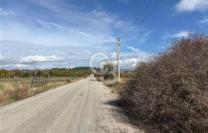 Muğla Yatağan Akgedik Mahallesinde 7.265 M² Doğayla İç İçe, Ana Yola Yakın Tarla