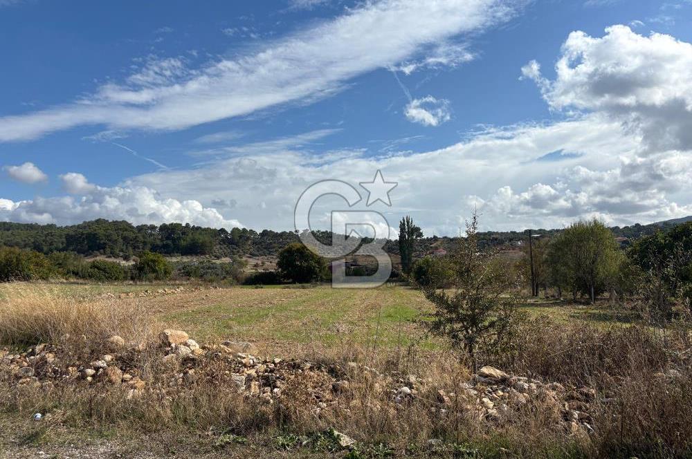 Muğla Yatağan Akgedik Mahallesinde 7.265 M² Doğayla İç İçe, Ana Yola Yakın Tarla