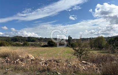 Muğla Yatağan Akgedik Mahallesinde 7.265 M² Doğayla İç İçe, Ana Yola Yakın Tarla