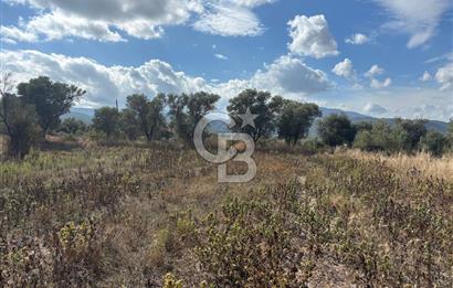 Muğla Yatağan Bozarmut Mahallesinde 4.900 m² Satılık Tarla 