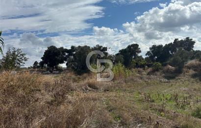 Muğla Yatağan Bozarmut Mahallesinde 4.900 m² Satılık Tarla 