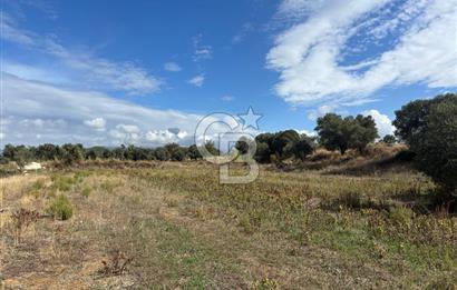 Muğla Yatağan Bozarmut Mahallesinde 4.900 m² Satılık Tarla 
