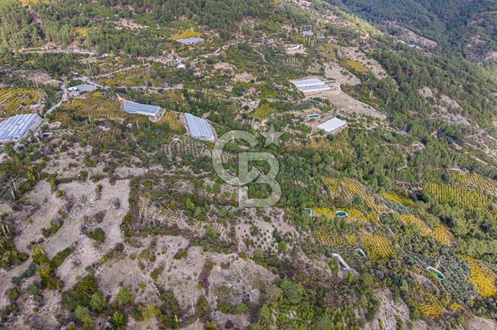 CB ARDENDEN ANTALYA KAŞ ORTABAĞDA 8306 M2 SATILIK TARLA