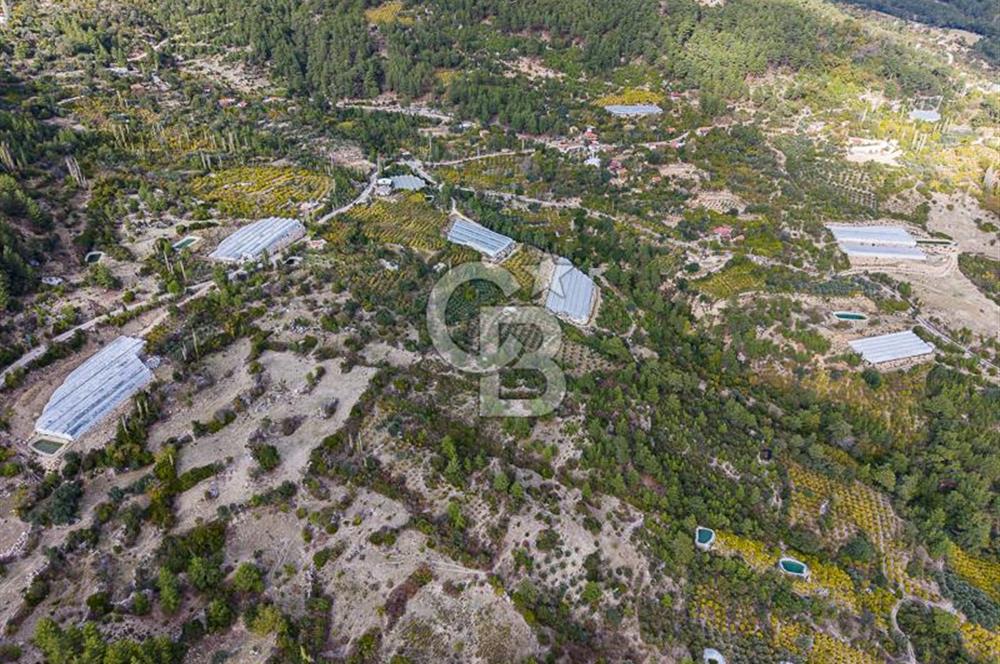CB ARDENDEN ANTALYA KAŞ ORTABAĞDA 8306 M2 SATILIK TARLA