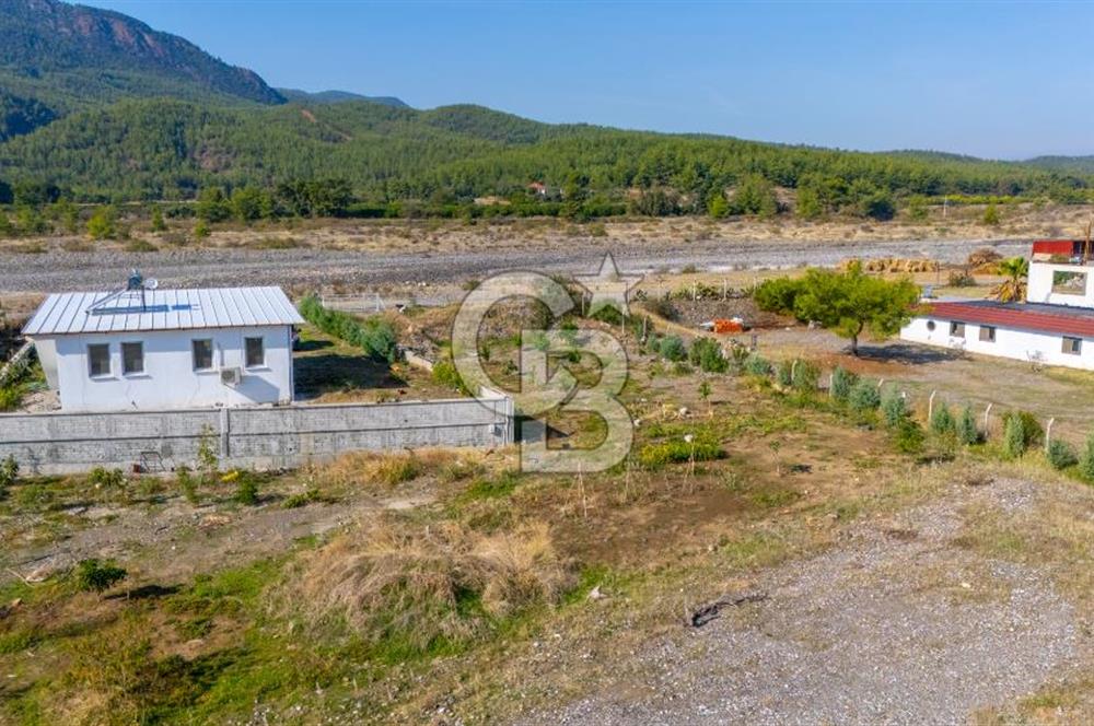CB MARİNA'DAN DÖĞÜŞBELEN'DE NEHİR VE ORMAN MANZARALI SATILIK EV