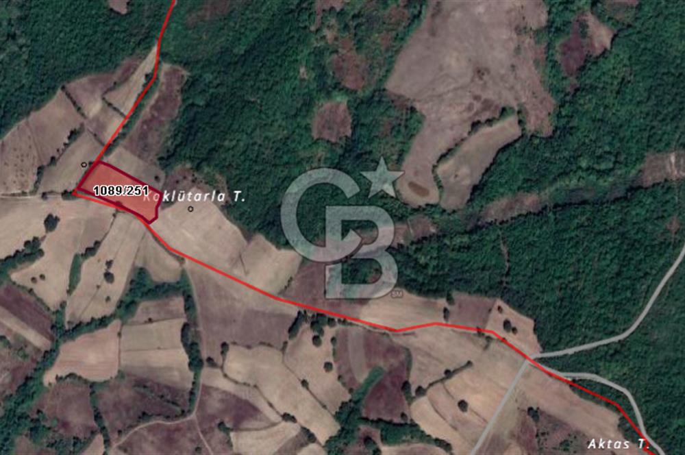 MUSTAFAKEMALPAŞA DEMİRDERE'DE 8.907 m2 TARLA*