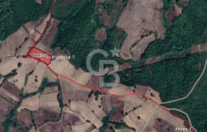 MUSTAFAKEMALPAŞA DEMİRDERE'DE 8.907 m2 TARLA*