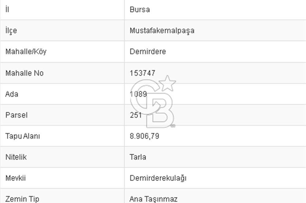 MUSTAFAKEMALPAŞA DEMİRDERE'DE 8.907 m2 TARLA*
