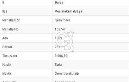 MUSTAFAKEMALPAŞA DEMİRDERE'DE 8.907 m2 TARLA*