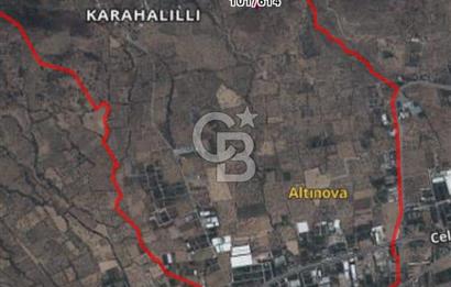 Bayındır Zeytinlik 805 m2