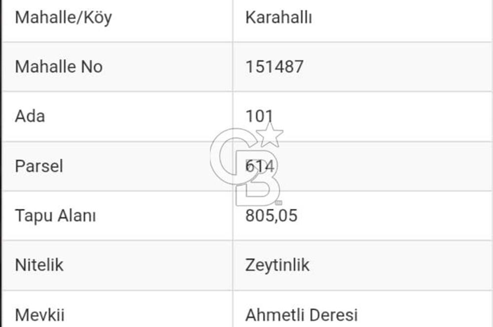 Bayındır Zeytinlik 805 m2