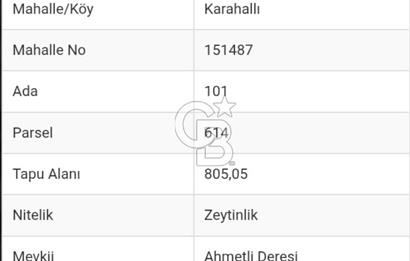 Bayındır Zeytinlik 805 m2