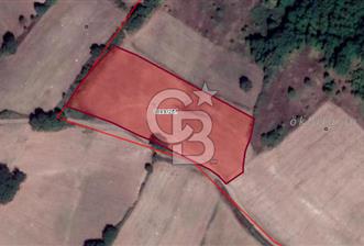 MUSTAFAKEMALPAŞA DEMİRDERE'DE 8.907 m2 TARLA*
