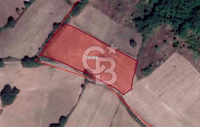 MUSTAFAKEMALPAŞA DEMİRDERE'DE 8.907 m2 TARLA*