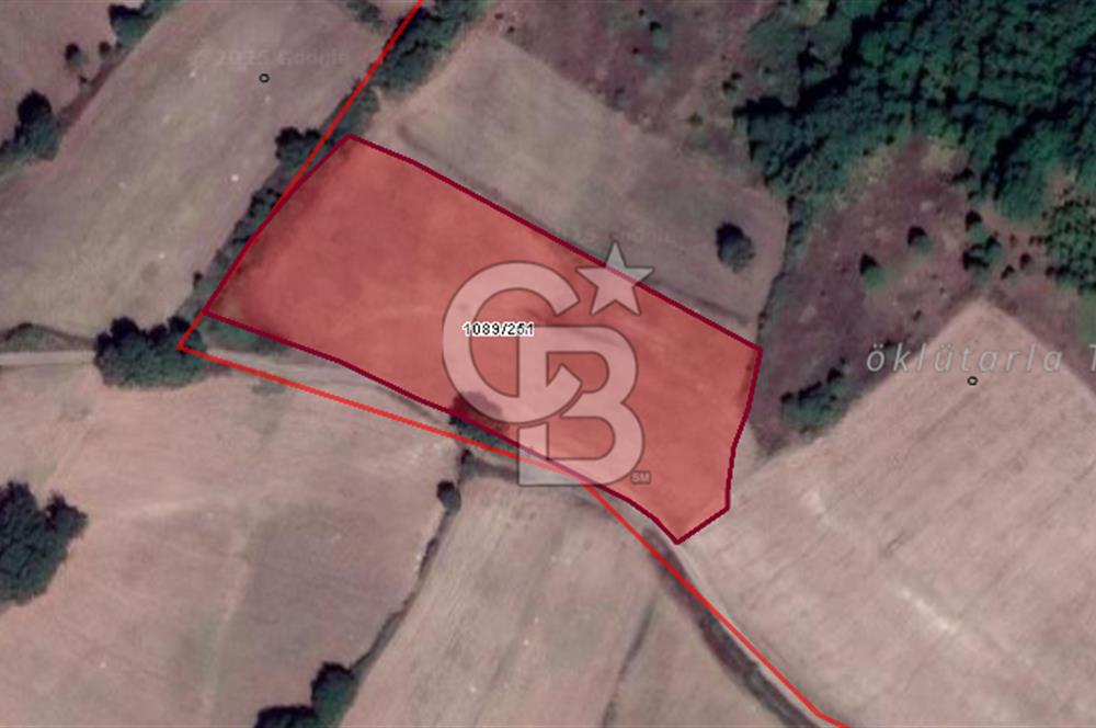 MUSTAFAKEMALPAŞA DEMİRDERE'DE 8.907 m2 TARLA*