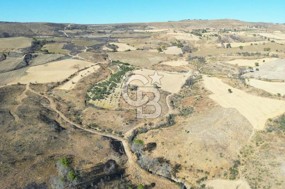 ÇANAKKALE, MERKEZ, YAĞCILAR KÖYÜNDE SATILK EKO İMARA UYGUN TARLA
