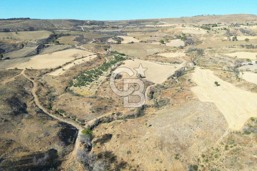 ÇANAKKALE, MERKEZ, YAĞCILAR KÖYÜNDE SATILK EKO İMARA UYGUN TARLA