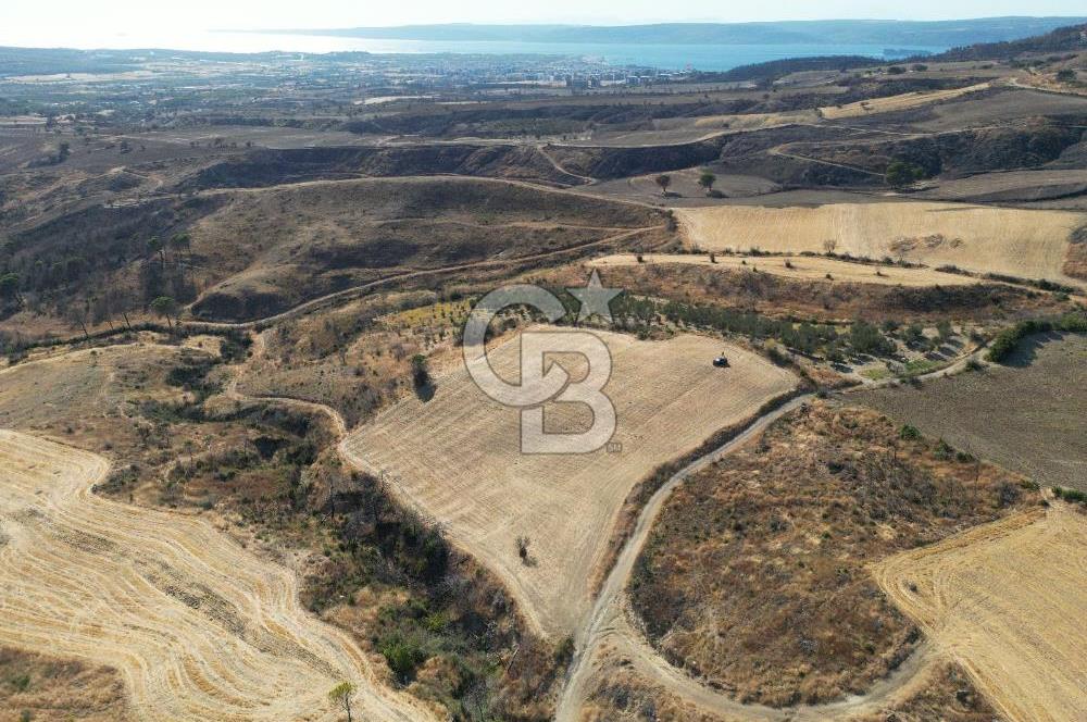ÇANAKKALE, MERKEZ, YAĞCILAR KÖYÜNDE SATILK EKO İMARA UYGUN TARLA