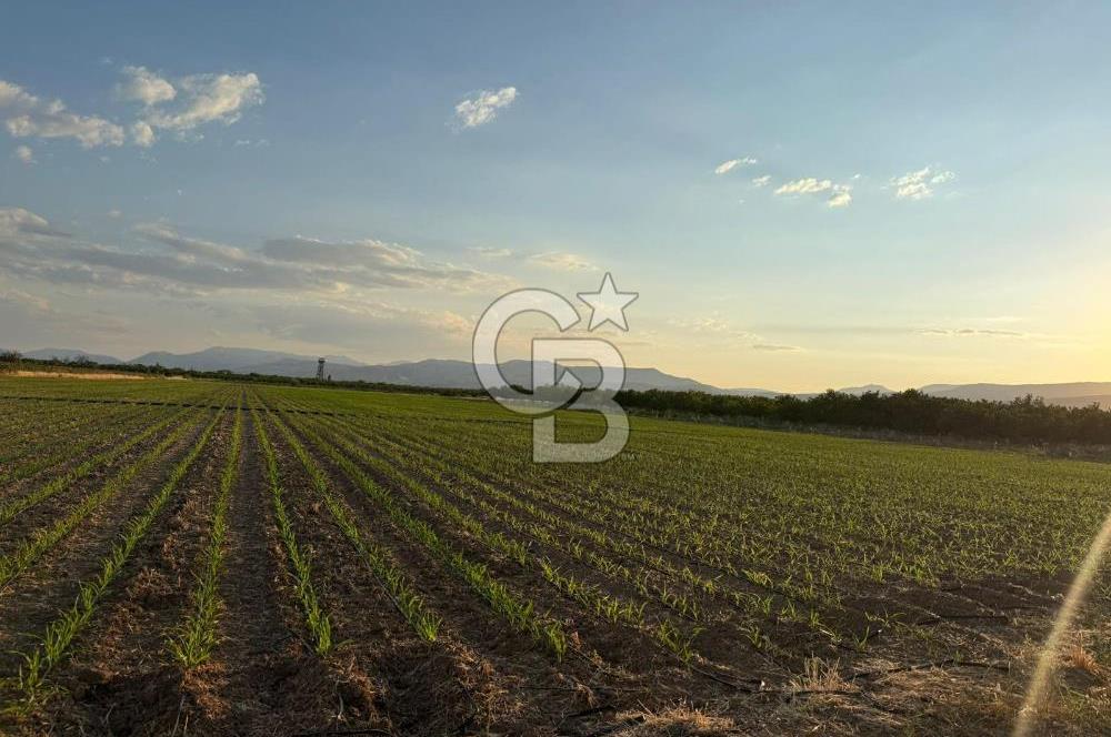 COLDWELL BANKER'den AKÇADAĞ da TARIMA ELVERİŞLİ SATILIK BAHÇE