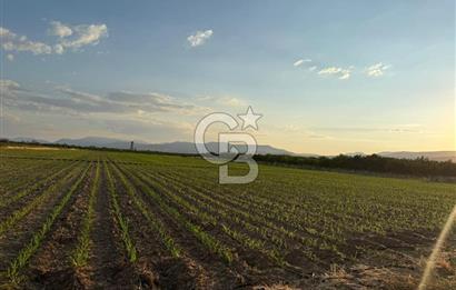 COLDWELL BANKER'den AKÇADAĞ da TARIMA ELVERİŞLİ SATILIK BAHÇE