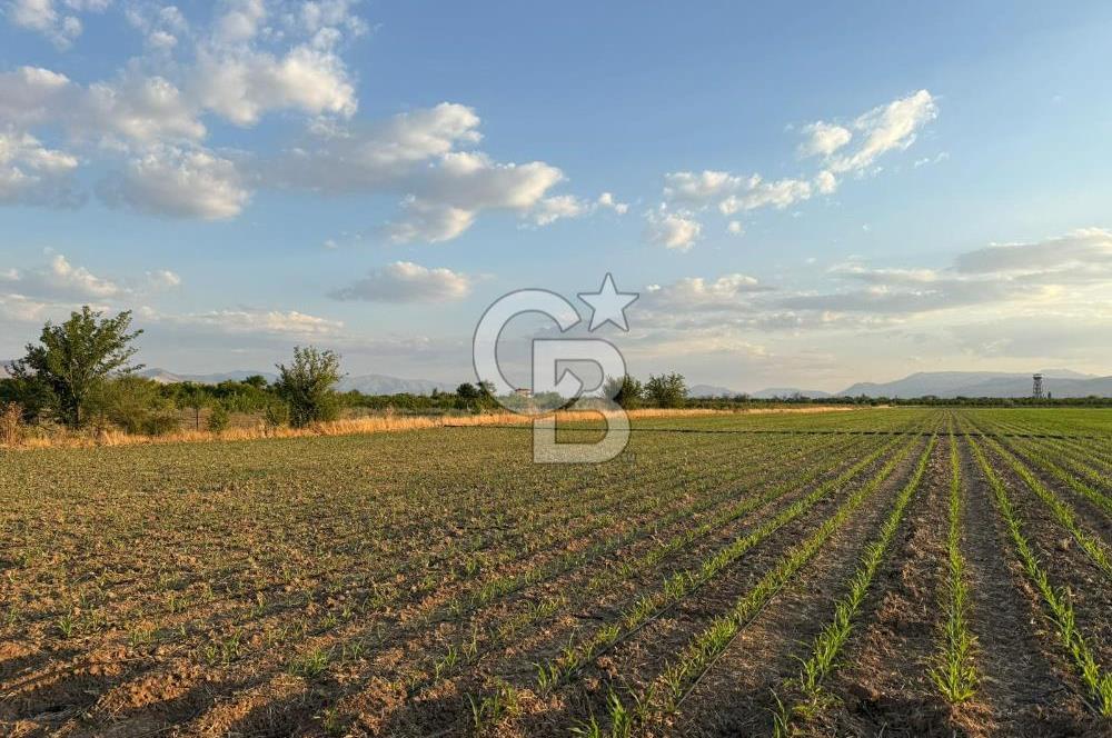 COLDWELL BANKER'den AKÇADAĞ da TARIMA ELVERİŞLİ SATILIK BAHÇE