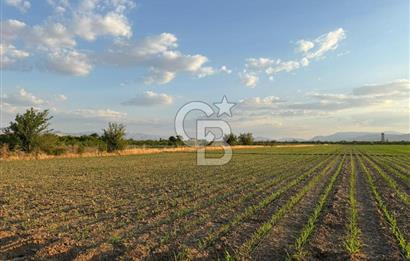 COLDWELL BANKER'den AKÇADAĞ da TARIMA ELVERİŞLİ SATILIK BAHÇE