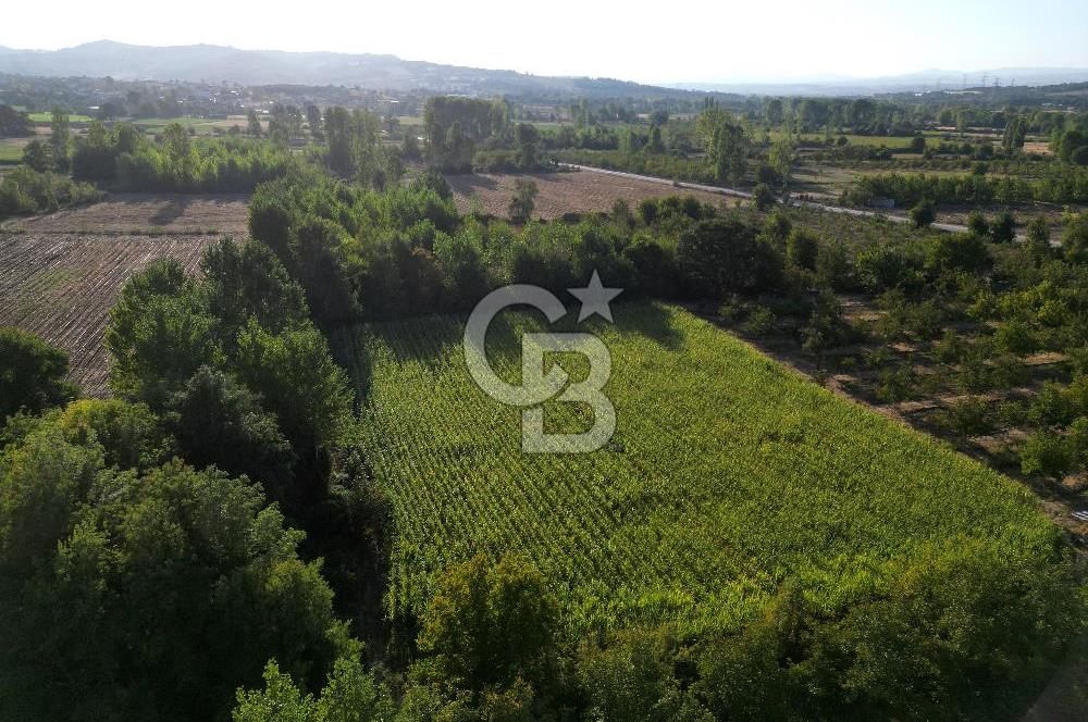 ÇAN KARAKOCA KÖYÜNDE SATILIK KÖY İÇİ İMARLI 1.327 M² ARSA