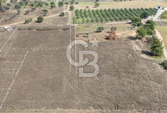 İzmir Menderes Şaşal'da 4645 m2 Tarla Satılık