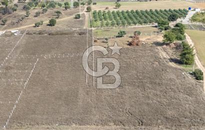 İzmir Menderes Şaşal'da 4645 m2 Tarla Satılık