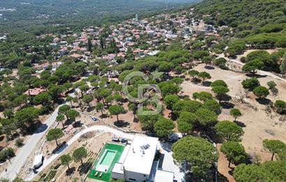Ayvalık Bağyüzü mah Yatırımlık 3450 m² İmarlı Arsa 