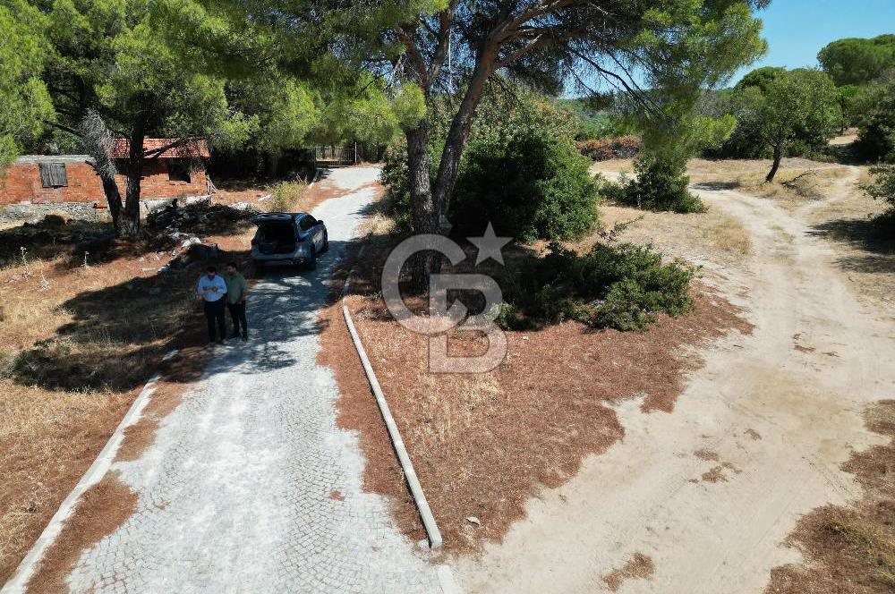 İzmir Bergama okçular mah. Köycivarı Yatırımlık 2951 m² arazi