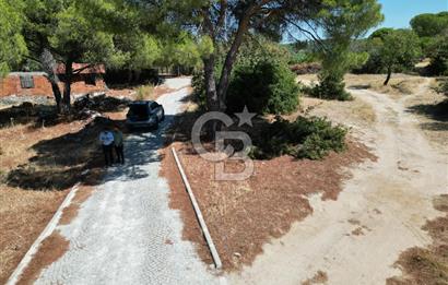İzmir Bergama okçular mah. Köycivarı Yatırımlık 2951 m² arazi