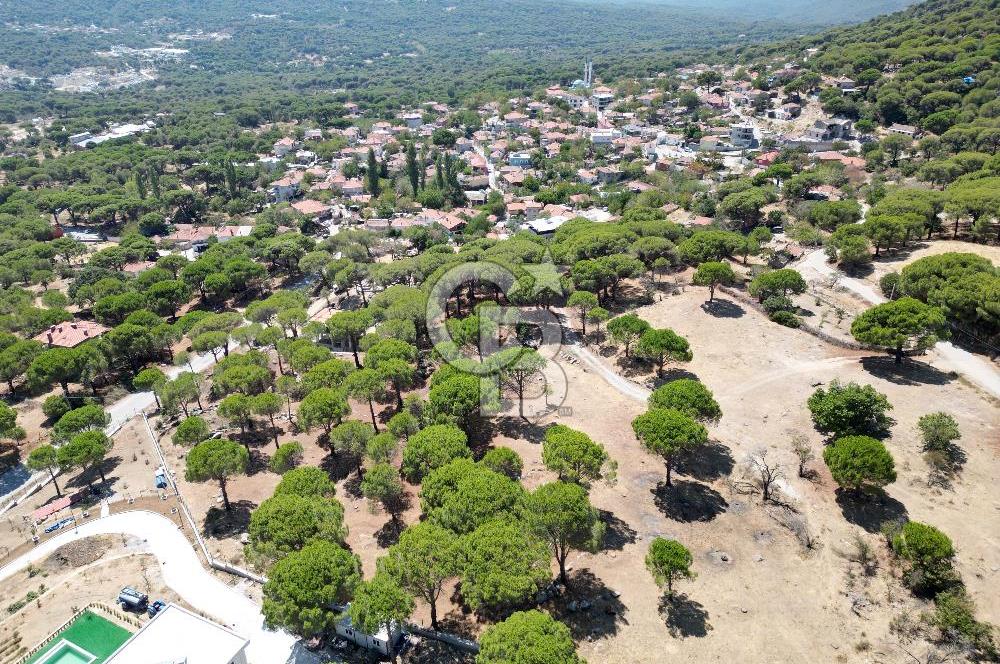 Ayvalık Bağyüzü mah Yatırımlık 3450 m² İmarlı Arsa 