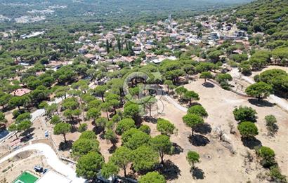 Ayvalık Bağyüzü mah Yatırımlık 3450 m² İmarlı Arsa 