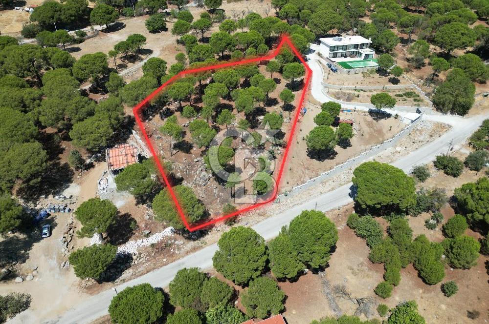 Ayvalık Bağyüzü mah Yatırımlık 3450 m² İmarlı Arsa 