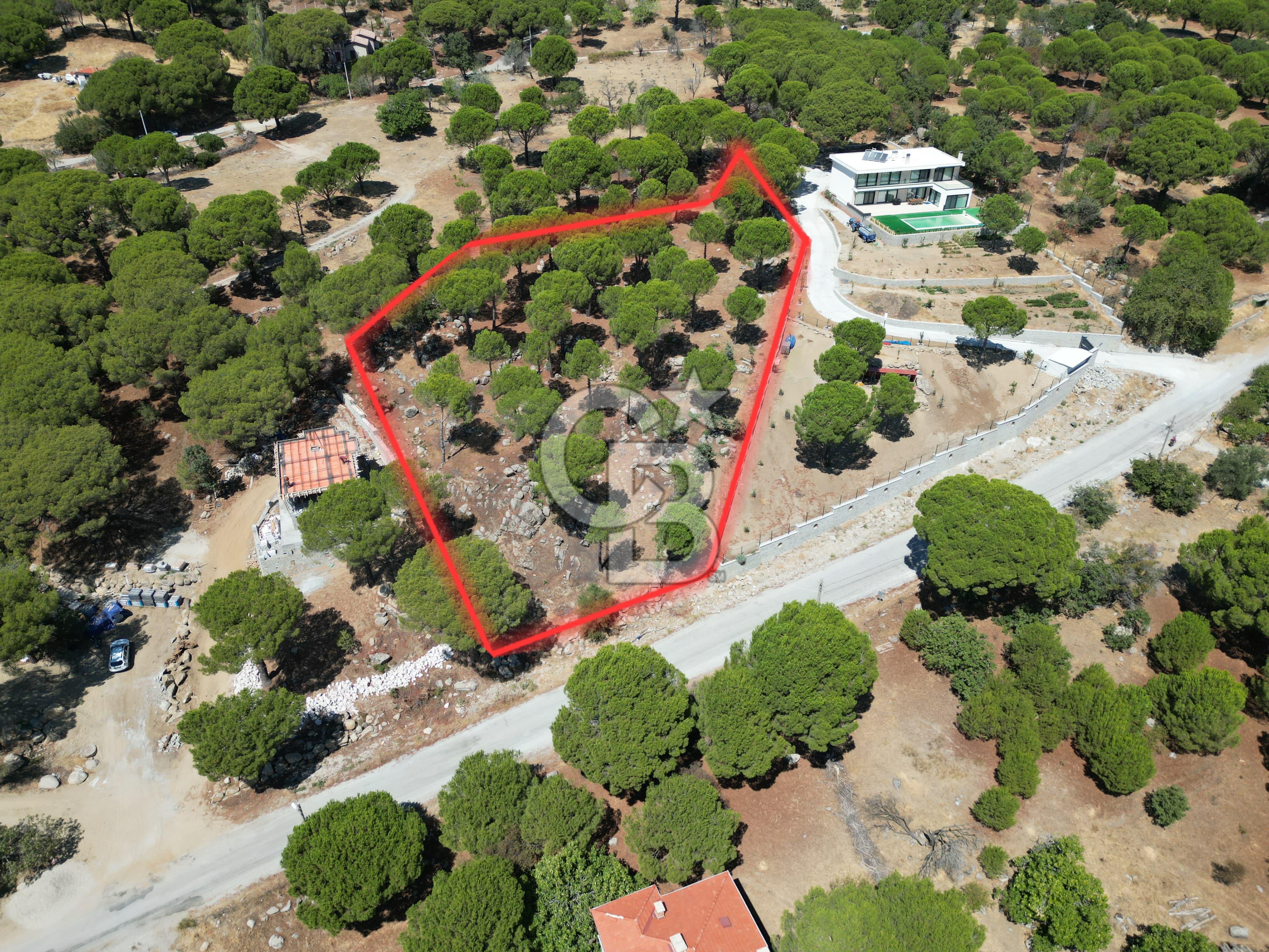 Ayvalık Bağyüzü mah Yatırımlık 3450 m² İmarlı Arsa 