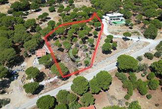 Ayvalık Bağyüzü mah Yatırımlık 3450 m² İmarlı Arsa 
