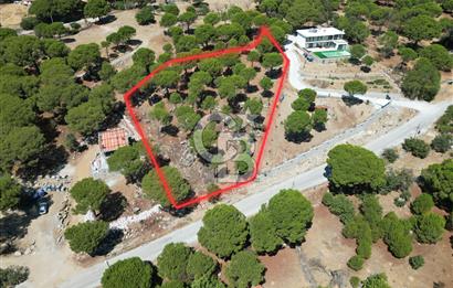 Ayvalık Bağyüzü mah Yatırımlık 3450 m² İmarlı Arsa 