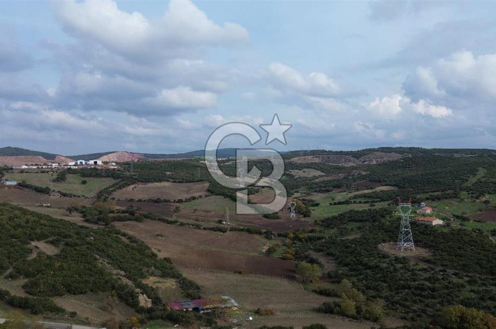 ÇANAKKALE LAPSEKİ ŞAHİNLİ KÖYÜNDE SATILIK TARLA